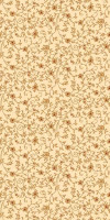 Ковровая VALENCIA DELUXE P019 CREAM